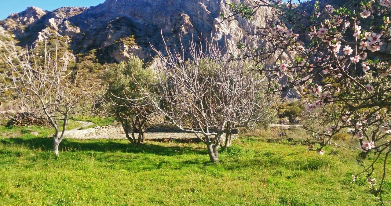Cortijo Aguacha Villa Bayacas Bagian luar foto