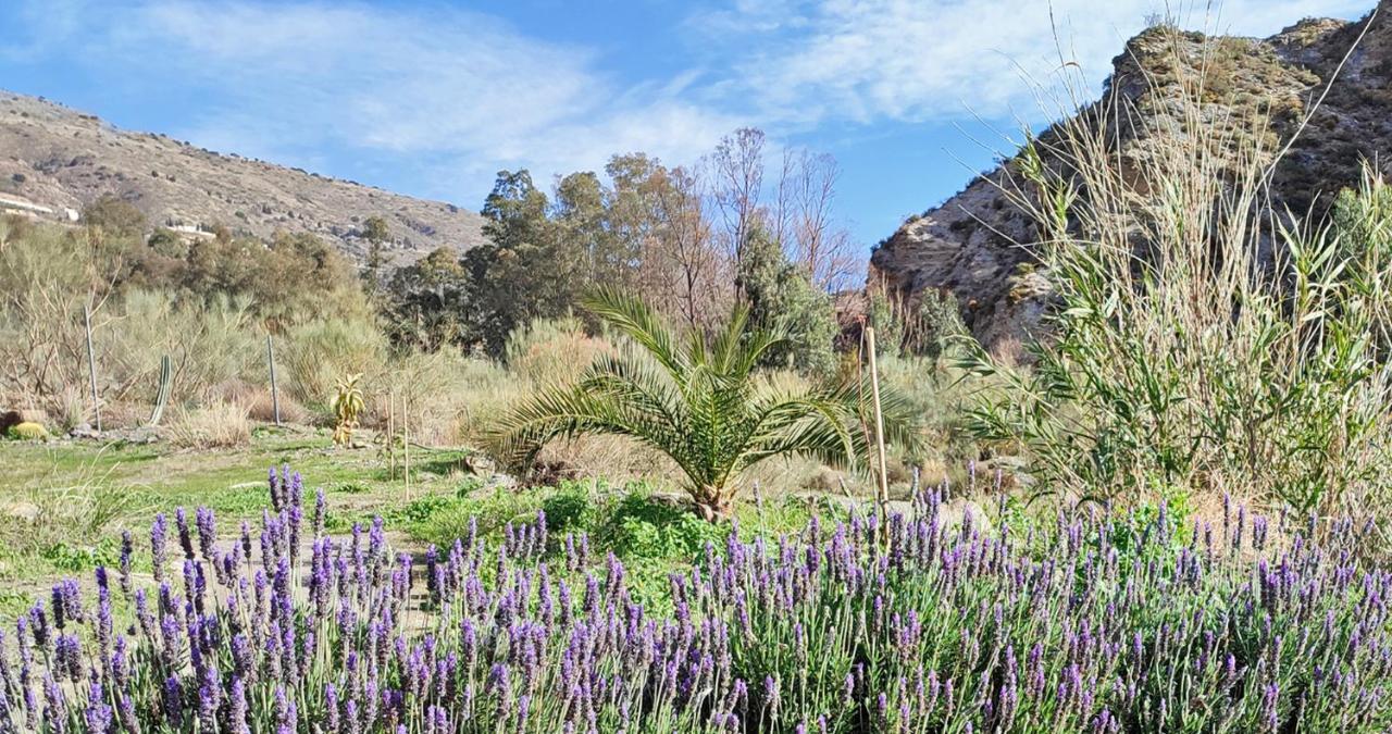 Cortijo Aguacha Villa Bayacas Bagian luar foto