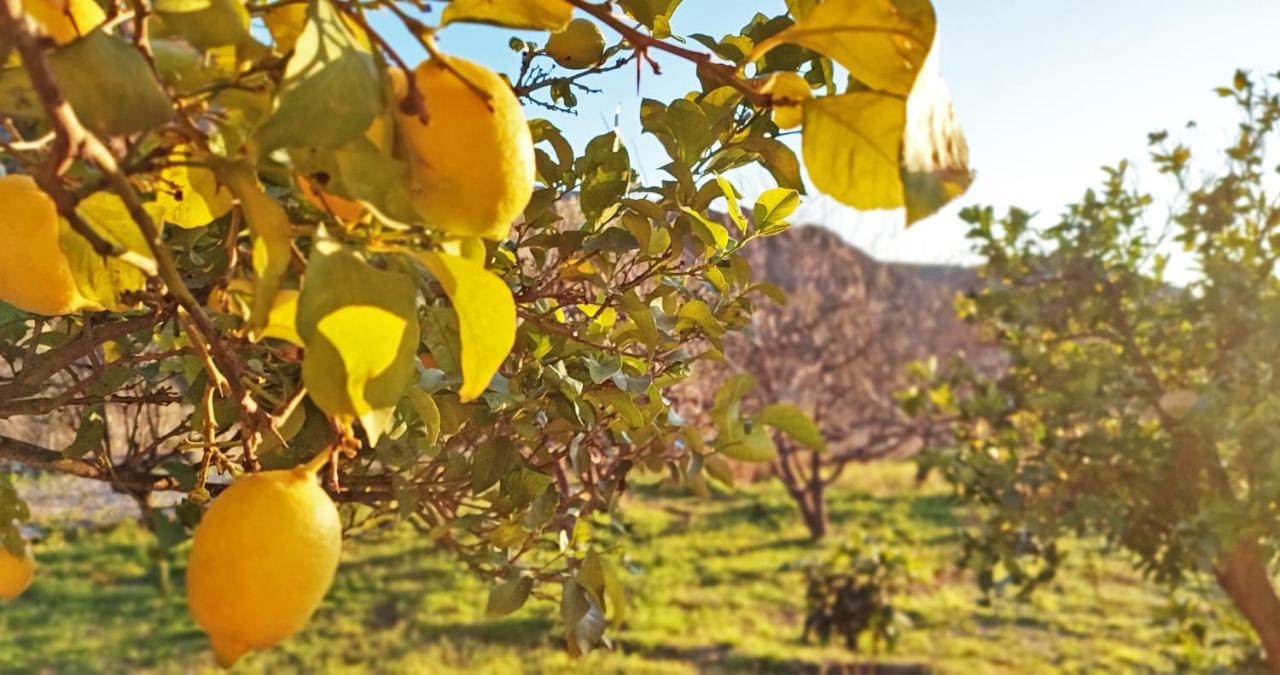 Cortijo Aguacha Villa Bayacas Bagian luar foto