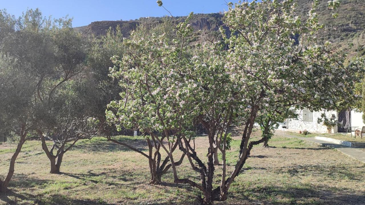 Cortijo Aguacha Villa Bayacas Bagian luar foto