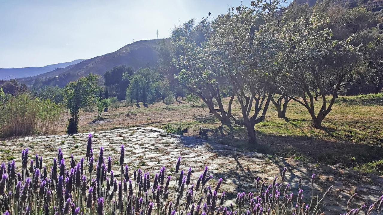 Cortijo Aguacha Villa Bayacas Bagian luar foto